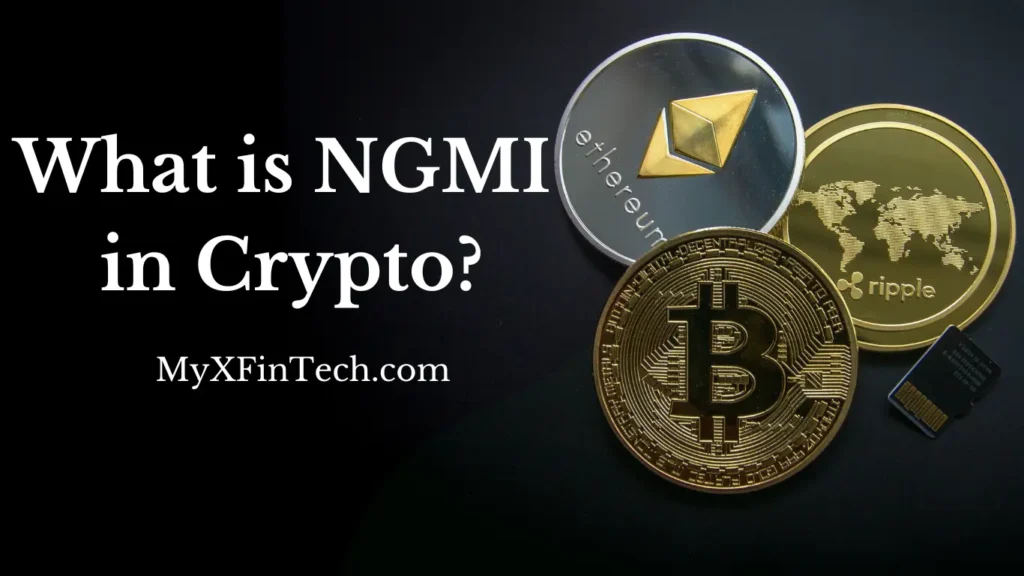 What is NGMI in Crypto